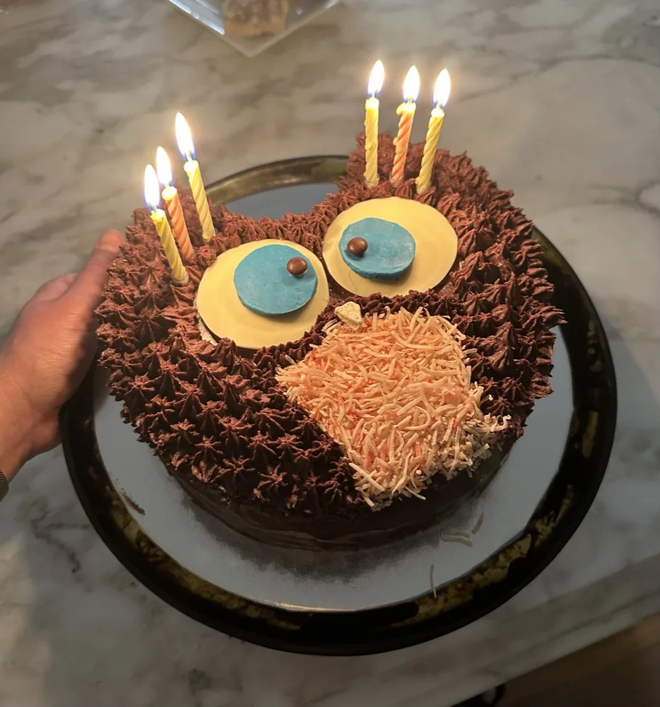 A chocolate owl cake with candles